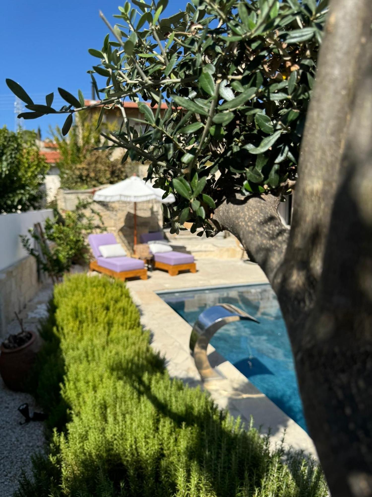 Fig&Olive Luxury One Bedroom Boutique In Pachna Limassol Exterior photo